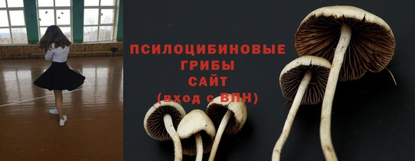 эйфоретик Арсеньев