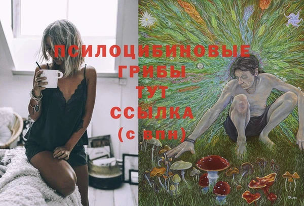 эйфоретик Арсеньев