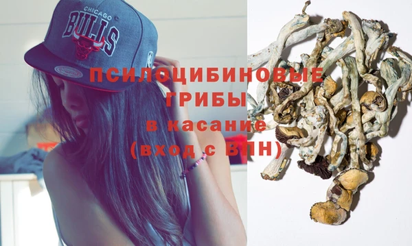 гашик Алзамай