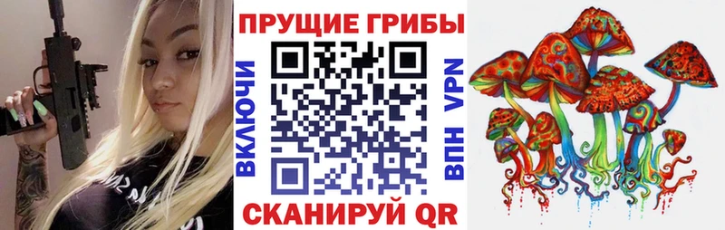 Галлюциногенные грибы Cubensis  купить наркотики цена  Верхняя Салда 