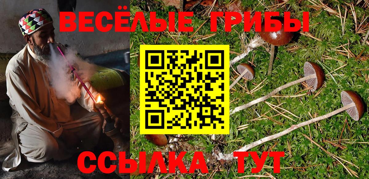 Псилоцибиновые грибы Magic Shrooms Верхняя Салда